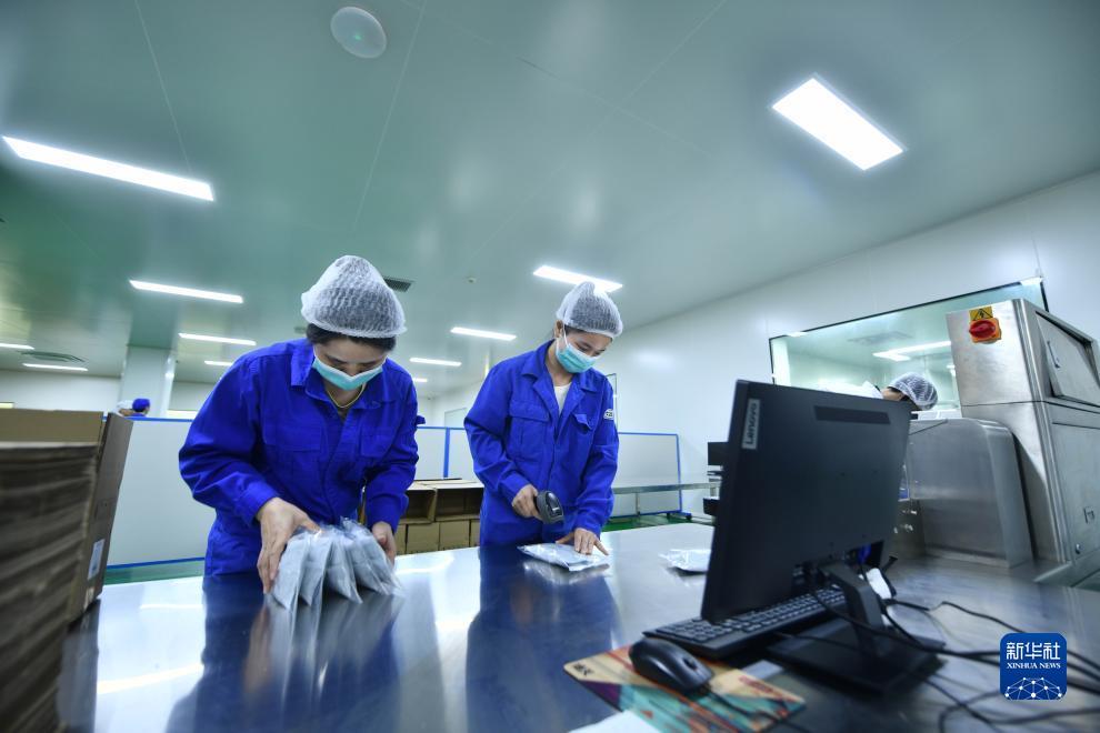 免费菠菜网